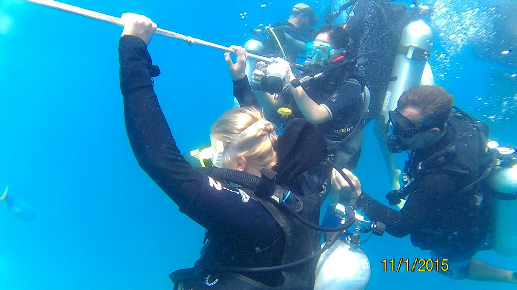 2016-10-05_08-53-16_gopro-waterfalls-diving_img-20161004-wa0002-1980