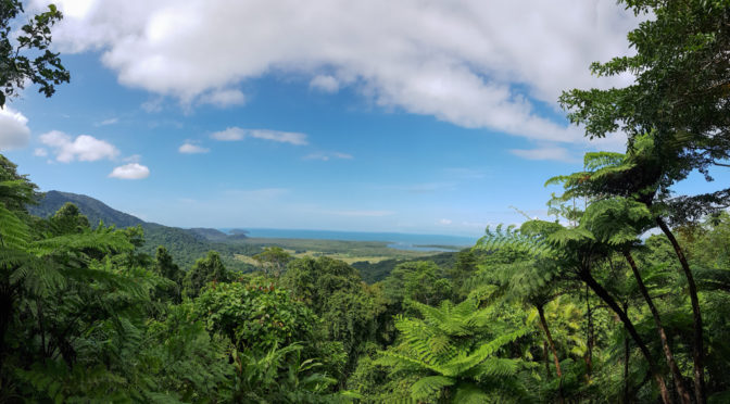 Roadtrip Cape Tribulation – Tag 3