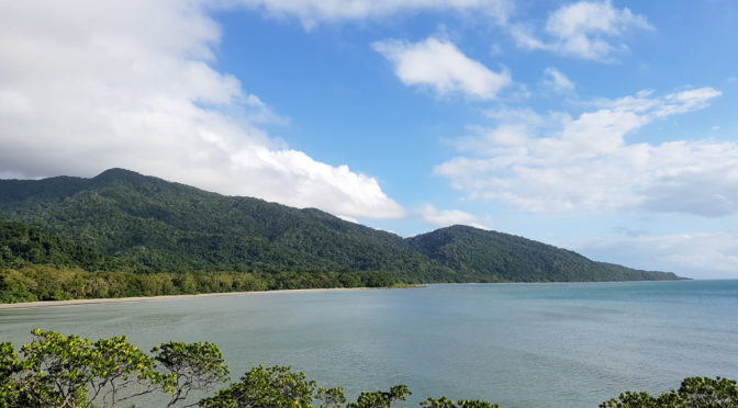 Roadtrip Cape Tribulation – Tag 4