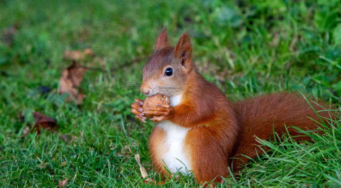 Essen essen essen!