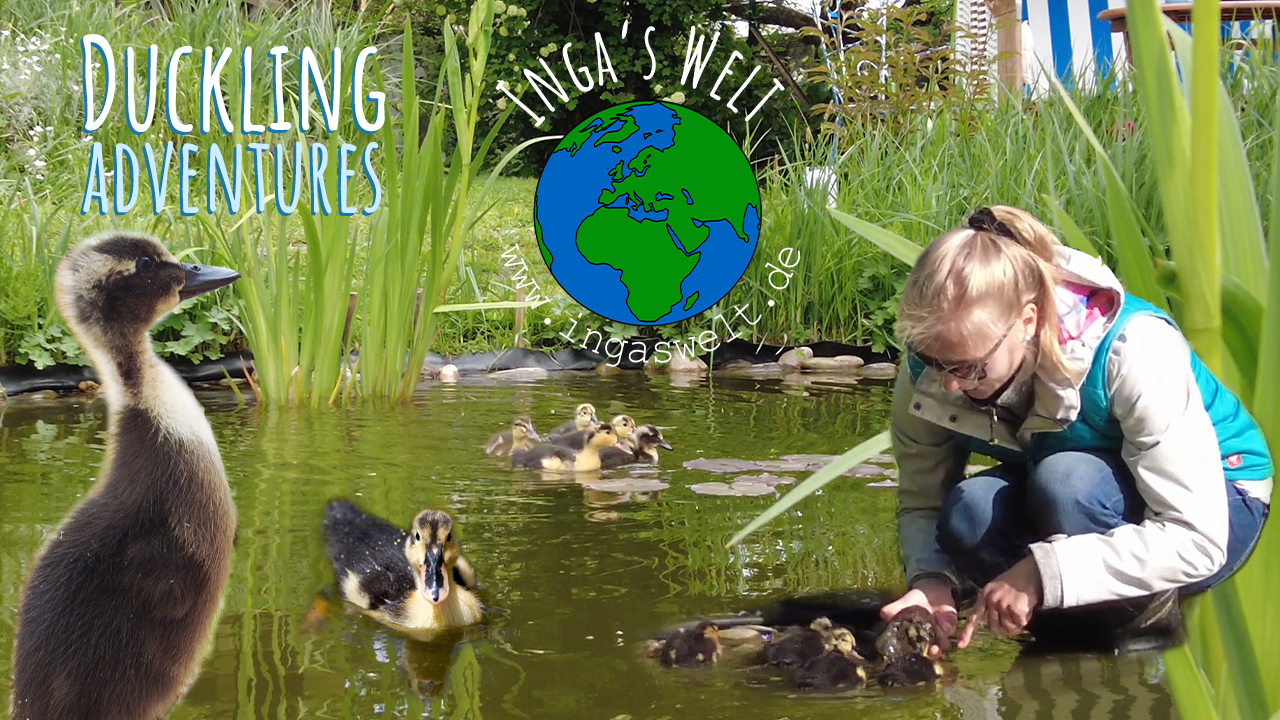 Heute gehe ich mit in den Teich! Inga's Welt