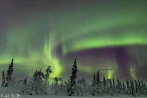 2019-11-21 20-21-13 Kiruna Day 2 - Lichter IMG 8830-1600